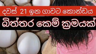 දවස් 21 ඉන ගාවට කොන්ඩෙ වැවෙන රහස් කෙම් බිත්තර ක්‍රමයක් Egg  & Viatamin E for Fast Smooth Hair Growth