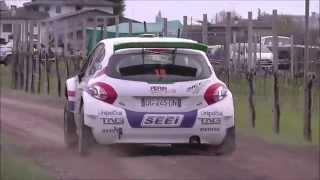 Speciale Peugeot 208 - Tribute to Peugeot 208 T16 R5 Pure Sound