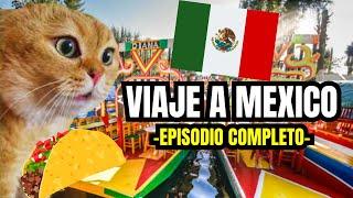 VIAJE A MEXICO  episodio completo meme de gatos