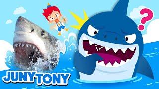 *NEW* Sharks Assemble  Fun Facts About Sharks  Animal Songs  Kids Songs & Stories  JunyTony