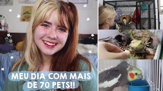 MINHA ROTINA DIÁRIA COM +70 ANIMAIS *na casa nova*