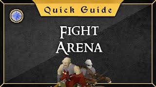 Quick Guide Fight Arena