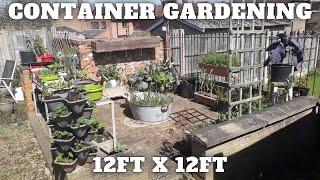 Container Gardening 12ft By 12ft Gardening Allotment UK Grow Vegetables At Home 