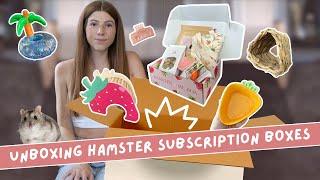 The CUTEST Hamster Subscription Boxes 