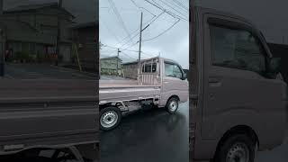 PINK DAIHATSU Japanese Mini Kei Truck