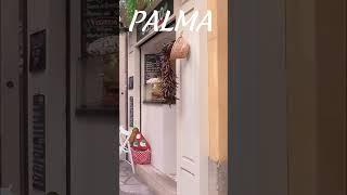 PALMA de MALLORCA Spain 2024 #travel #holidays #mallorca