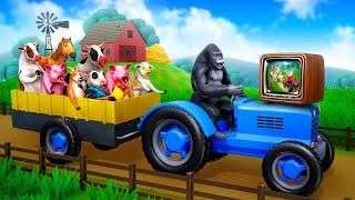 Farm Animal Rescue Mission  Animals Stuck in Truck  Gorilla Rescue  Animals Funny Cartoon 2024