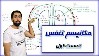 مکانیسم تنفس  تغییرات فشار  فیزیولوژی ریه  Mechanism of breathing  Respiratory