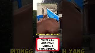 BAGAIMANA PERASAAN KALIAN DI TINGGAL PUJAAN HATI? #viral #reaction