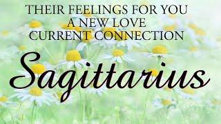 SAGITTARIUS love tarot ️ This Person Is Very Much In Love With You Sagittarius