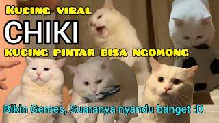 Kumpulan Video Chiki Kucing Putih Pintar Ngomong - Ciki Kucing Putih Viral - Ciki kucing Tiktok