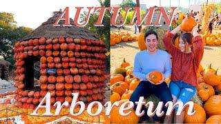 Autumn at the Dallas Arboretum  Fall 2022