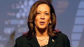 Local experts weigh in on Vice President Kamala Harris possible running mate pick