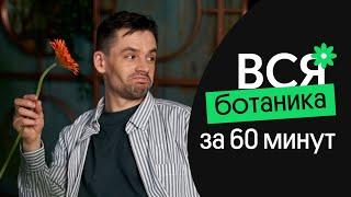 Вся БОТАНИКА за 60 МИНУТ  ЕГЭ по биологии 2023