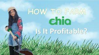 Chia Setup Farm Guide How to farm chia? Is it profitable?