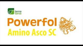 Powerfol Amino ASCO