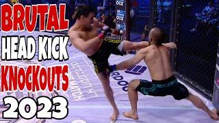 Most Brutal Head-Kick Knockouts in MMA 2023  Stone Cold KOs