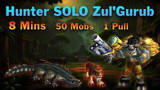 Ultimate ZulGurub Hunter Farm One-Pull 5-8 Mins 50 Mobs  WoW Classic SOD Phase 5