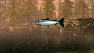 5 Minutes of Skyrim Fishing