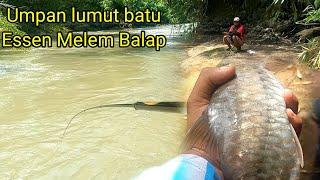 ASLI BIKIN JANTUNGAN.. Mancing Melem Dapet Jackpot Ikan Masheer Babon