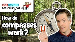 How does a compass work?  General KnOWLedge