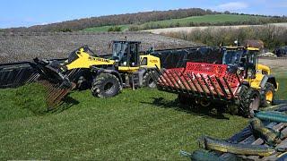 Silage 2023 - Buckraking on the clamp with JCB 435S and NEW New Holland W170D shows off