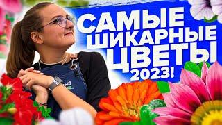 БЕРИТЕ ИХ в 2024 ТОП НИЗКОРОСЛЫХ ЦВЕТОВ 2023 года от #семенаалтая