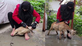 woman butcher goat Educational video nahila