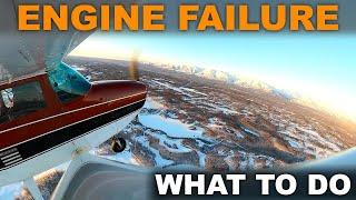 What to Do if Your Engine DIES in a Cessna 172 ENGINE FAILURE in FLIGHT