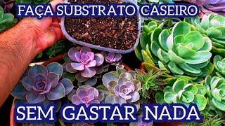 COMO FAZER SUBSTRATO CASEIRO SEM GASTAR NADA PARA SUCULENTAS CACTOS E PLANTAS.