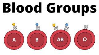 ABO Blood Group System AB0 Blood types & compatibility explained