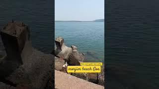 Clean and crystal clear water Morjim beach Goa tourist season started #goadiariesofask #goabeach