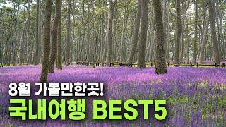 8월에 가면 좋은 국내여행지 추천 BEST 5