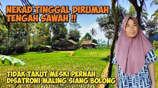 NEKAD‼️PASANGAN SUAMI ISTRI TINGGAL DIRUMAH TERPENCIL DITENGAH SAWAH