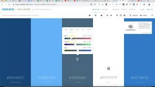 Tutorial Coolors Generador paletas de color online gratis