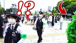 JAPAN Bushman come to Harajuku  ...Surrounded by police.  Bushman prank