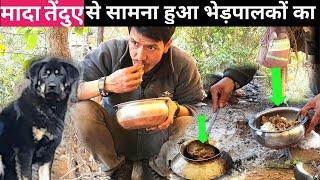 HERDERS KITCHEN IN JUNGLE HIMACHAL PRADESH NOMADIC SHEPHERDS LIFE IN JUNGLE.