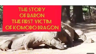 KOMODO DRAGON ATTACK HUMAN  THE STORY OF BARON THE FIRST VICTIM OF KOMODO DRAGON