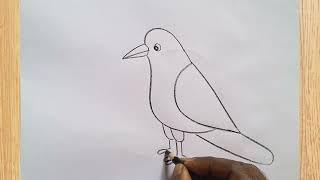 how to draw crow drawing easy step by step@aaravdrawingcreative1112