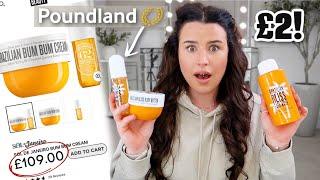 UNBELIEVABLE Poundland Dupe  HUGE NEW IN POUNDLAND HAUL