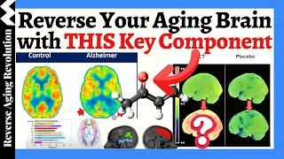 REVERSE Your Aging Brain With THIS Key Component