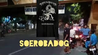 SOEROBADOG SAUR ON THE ROAD