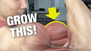 How to Grow Your Biceps Peak DO THIS‼️