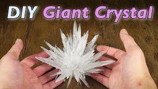 How to Grow Giant Crystal