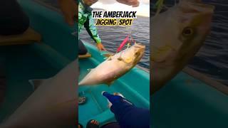 Amberjack offshore jigging #jigging #viral #fish #fishing #shortvideo