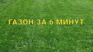 как посадить газон с нуля полностью в видео все этапы выращивания самосевного газона