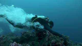 INTENSE CURRENTS AT DARWINS ARCH Galapagos