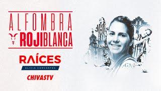 ALFOMBRA ROJIBLANCA   ALICIA CERVANTES EN RAÍCES DE CHIVASTV