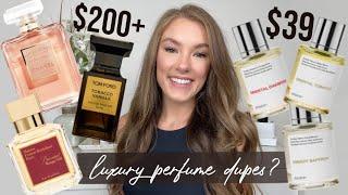 LUXURY PERFUME DUPES?  lets see how the affordable options REALLY compare - honest Dossier review