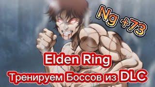 ELDEN RING  УЧИМ БОССОВ DLC  500 ЧАСОВ В ИГРЕ ЧТОО?